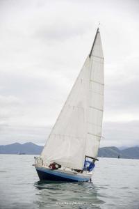 1DS 4412
