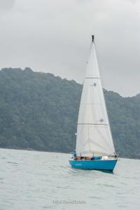 DSC8542