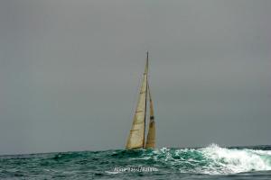 DSC8723