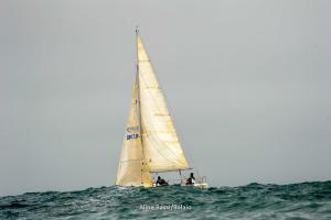 DSC8726