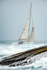 DSC8742