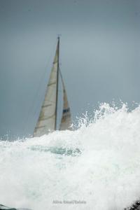 DSC8744